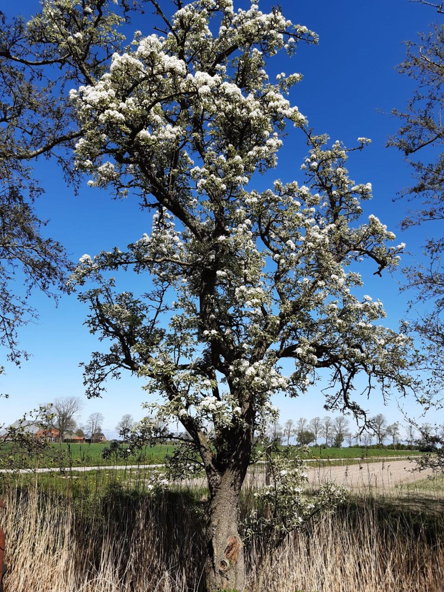 B&B Weidse Blik Ingelum Engelum Exteriér fotografie
